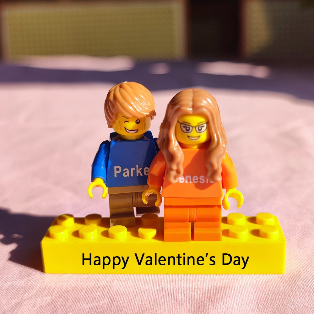 Ich liebe dich bis ins kleinste Detail Personalisierte Figuren auf personalisiertem Ziegelstein mit Haustieren