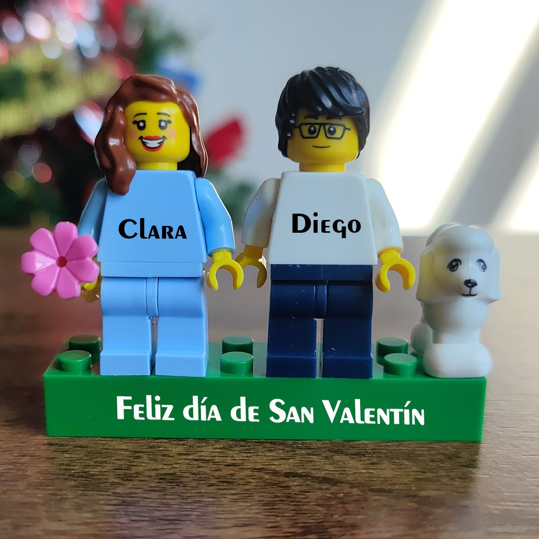 Feliz día de San Valentín Figuras personalizadas en ladrillo personalizado con mascotas Regalo para pareja, para novio, para novia, para niños