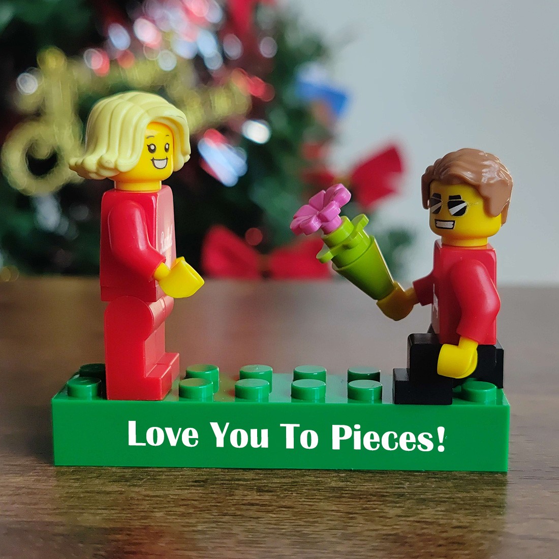 Love Grows Here Personalized figures on Personalized Brick With Pets Gift for Couple, for Boyfriend, for Girlfriend, for Kids