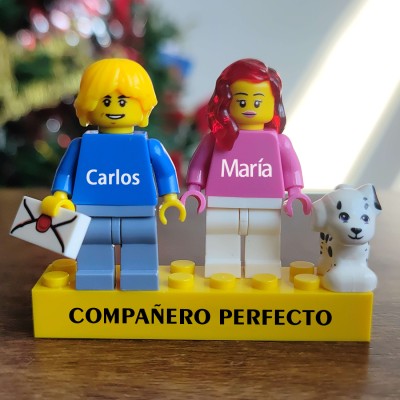 Pareja perfecta Figuras personalizadas en Ladrillo Personalizado Con Mascotas Regalo para Pareja, para Novio, para Novia, para Niños